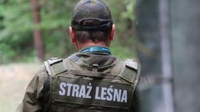Wzmożone kontrole w rezerwatach. Na celowniku szabrownicy i kłusownicy 