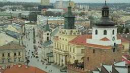 Zielone spory w Lublinie. Radny kontra władze w sprawie drzew na Placu Łokietka