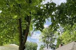 Świąteczny spacer z historią w tle – odwiedź Muzeum Wsi Lubelskiej