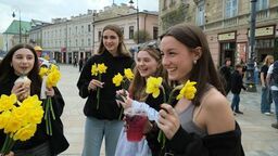 Żonkile były rozdawane po drodze