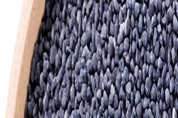 Strucla na Wielkanoc? GIS ostrzega przed tym makiem