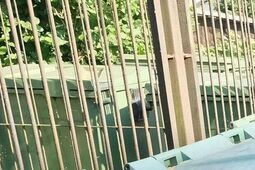 Kontrowersje wokół nowych stawek za śmieci w Lublinie. Radny domaga się wyjaśnień