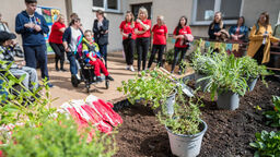 Zielony zakątek to niewielka przestrzeń na patio w Specjalnym Ośrodku Szkolno-Wychowawczym nr 2