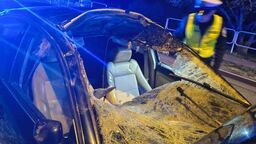 Auto kontra łoś. Zwierzę nie przeżyło, samochód zmasakrowany