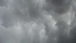 Burze w Lubelskiem. Strażacy interweniowali dzisiaj 375 razy