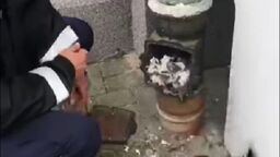 Nietypowa kryjówka kawki. Na pomoc ruszyła Straż Miejska 