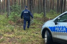 Tragiczny finał poszukiwań. Ciało seniorki znalezione w lesie
