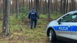 Tragiczny finał poszukiwań. Ciało seniorki znalezione w lesie