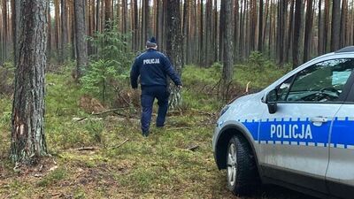 Tragiczny finał poszukiwań. Ciało seniorki znalezione w lesie