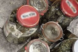 Duże ilości marihuany przechowywał w domu