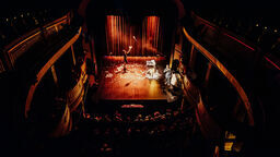 Spektakularne widowiska cyrkowe na Carnavale Sztukmistrzów 2025