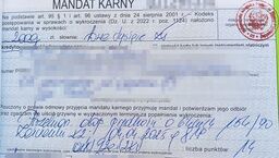 Mandat na 2000 zł każdego "boli"