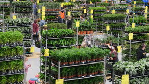 Zielone szaleństwo w Hali Targów już w ten weekend