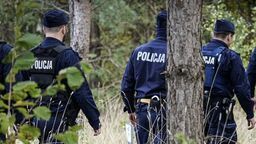 zdjęcie ilustracyjne