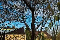 W Chełmie ruszyła budowa centrum dla najbardziej potrzebujących