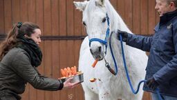 Weronika Sosnowska (zdjęcie jeszcze z czasów pracy w stadninie Michałów) 