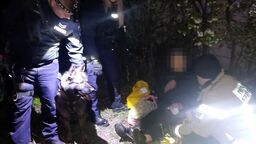 Na szczęście 80-latka czuła się w miarę dobrze i nie wymagała pomocy medycznej