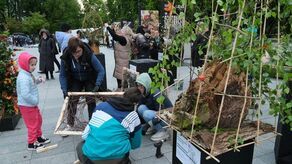 Natura lekiem na całe zło. Przed nami weekend z florystyką