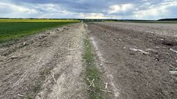 Drzewa wycięli, ale śmieci im już nie przeszkadzały - oburza się nasz Czytelnik