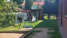 Łosiem, który zranił się prawdopodobnie przeskakując przez przeszkody zajęli się pracownicy ZOO