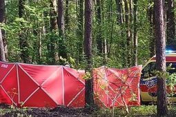 Nowe fakty w sprawie tragicznej śmierci 14-latki. Policja zatrzymała stajennego