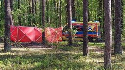 Do zdarzenia doszlo w lasach w powiecie biłgorajskim