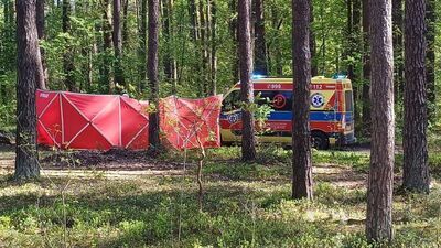 Do zdarzenia doszlo w lasach w powiecie biłgorajskim