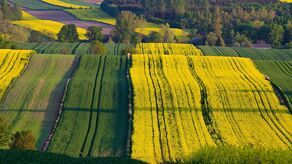 Lubelskie rekordami stoi! Sprawdź się w naszym quizie