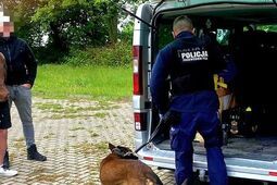 Chipsy, ciasteczka i żelki... nafaszerowane narkotykami. 28-latek ma kłopoty