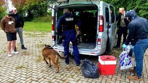 Młodemu mężczyźnie grozi nawet 10 lat pozbawienia wolności