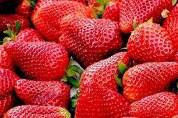 Truskawki z salmonellą. Masz je w domu? Nie jedz