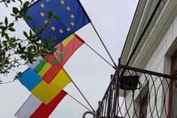 Incydent z flagą Ukrainy na wiecu Grzegorza Brauna. Jest śledztwo