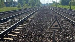 Z wybranych lokalizacji krajobrazu kolejowego znikną wskaźniki W6b – znaki przypominające maszynistom o obowiązku podawania sygnału dźwiękowego Rp1 „Baczność” przed przejazdami kolejowo-drogowymi