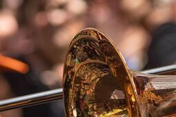 Wojciechów zagra pełnym składem! Festiwal Orkiestr Dętych już w ten weekend