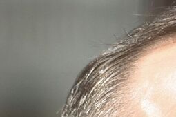 Baranów i Żyrzyn za Nawrockim, Puławy i nałęczowscy kuracjusze za Trzaskowskim