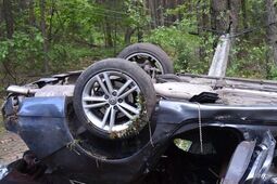 Tragiczny finał zderzenia z łosiem. Kierowca opla i pasażerka zginęli na miejscu