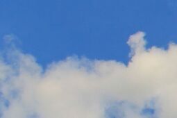 Puławskie Azoty tracą 30 milionów miesięcznie. To mniej, niż rok temu