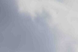 Terytorialsi świętują w Zamościu. Przysięga, defilada i piknik militarny