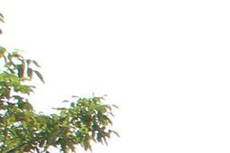 Ekran koło orlika zostaje. Skarga sąsiadów oddalona