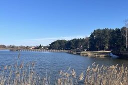 Będzie pięknie. Kwietna łąka i pole słoneczników nad zalewem w uzdrowisku