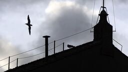 Komin zainstalowany na dachu Kaplicy Sykstyńskiej na placu Świętego Piotra w Watykanie