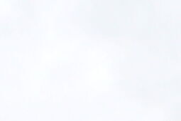 Wybory 2025. W ryckim Nawrocki wygrywa z dużą przewagą