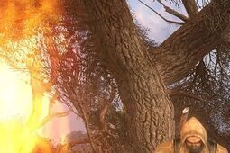 S.T.A.L.K.E.R.: Trzy gry w nowej wersji. Dla niektórych za darmo (wideo)