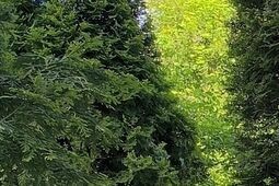 "Byli jacyś Chłopcy z placu Broni"... Ósmoklasiści rozpoczęli egzaminy