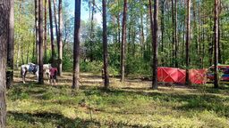 Do tragedii doszło w lesie w Woli Małej koło Biłgoraja