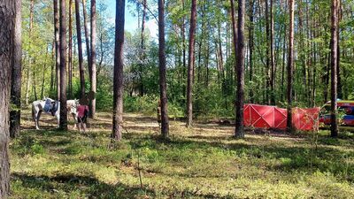 Do tragedii doszło w lesie w Woli Małej koło Biłgoraja