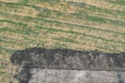 Zaskakujące odkrycia archeologiczne na trasie przyszłej S17 pod Zamościem