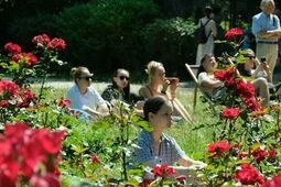 Jak to jest z zielenią w Lublinie? Opinie mieszkańców trafią do koncepcji