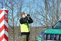 Straż graniczna w Lubelskiem przyjęła wnioski o ochronę międzynarodową od 14 cudzoziemców