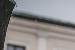 Terytorialsi świętowali w Zamościu. Przysięga, defilada i piknik